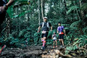 BIB: 
                            <button type="button" onclick="openModal(26033867)" class="btn btn-primary btn-sm float-right btn-popup" data-toggle="modal" data-target=".modal-high-quality">
                        <i class="fas fa-shopping-cart"></i> Add to Cart
                    </button>
                                            <button type="button" onclick="isThisMe(26033867, true)" class="btn btn-success btn-sm float-right btn-popup btn-isme hidden" data-toggle="tooltip" data-placement="bottom" title="นี่คือรูปของคุณใช่ไหม คลิกที่นี่เพื่อเอาเข้าอัลบั้ม">
                        <i class="fas fa-plus"></i> Add to album
                    </button>
                    <button type="button" onclick="isThisMe(26033867, false)" class="btn btn-warning btn-sm float-right btn-popup btn-isnotme hidden">
                        <i class="fas fa-ban"></i> Remove from album
                    </button>