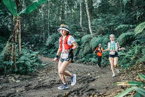 BIB: 
                            <button type="button" onclick="openModal(25621532)" class="btn btn-primary btn-sm float-right btn-popup" data-toggle="modal" data-target=".modal-high-quality">
                        <i class="fas fa-shopping-cart"></i> Add to Cart
                    </button>
                                            <button type="button" onclick="isThisMe(25621532, true)" class="btn btn-success btn-sm float-right btn-popup btn-isme hidden" data-toggle="tooltip" data-placement="bottom" title="นี่คือรูปของคุณใช่ไหม คลิกที่นี่เพื่อเอาเข้าอัลบั้ม">
                        <i class="fas fa-plus"></i> Add to album
                    </button>
                    <button type="button" onclick="isThisMe(25621532, false)" class="btn btn-warning btn-sm float-right btn-popup btn-isnotme hidden">
                        <i class="fas fa-ban"></i> Remove from album
                    </button>