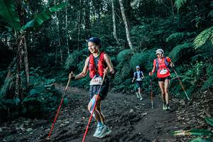 BIB: 
                            <button type="button" onclick="openModal(26018588)" class="btn btn-primary btn-sm float-right btn-popup" data-toggle="modal" data-target=".modal-high-quality">
                        <i class="fas fa-shopping-cart"></i> Add to Cart
                    </button>
                                            <button type="button" onclick="isThisMe(26018588, true)" class="btn btn-success btn-sm float-right btn-popup btn-isme hidden" data-toggle="tooltip" data-placement="bottom" title="นี่คือรูปของคุณใช่ไหม คลิกที่นี่เพื่อเอาเข้าอัลบั้ม">
                        <i class="fas fa-plus"></i> Add to album
                    </button>
                    <button type="button" onclick="isThisMe(26018588, false)" class="btn btn-warning btn-sm float-right btn-popup btn-isnotme hidden">
                        <i class="fas fa-ban"></i> Remove from album
                    </button>