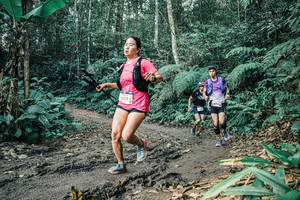 BIB: 
                            <button type="button" onclick="openModal(25705088)" class="btn btn-primary btn-sm float-right btn-popup" data-toggle="modal" data-target=".modal-high-quality">
                        <i class="fas fa-shopping-cart"></i> Add to Cart
                    </button>
                                            <button type="button" onclick="isThisMe(25705088, true)" class="btn btn-success btn-sm float-right btn-popup btn-isme hidden" data-toggle="tooltip" data-placement="bottom" title="นี่คือรูปของคุณใช่ไหม คลิกที่นี่เพื่อเอาเข้าอัลบั้ม">
                        <i class="fas fa-plus"></i> Add to album
                    </button>
                    <button type="button" onclick="isThisMe(25705088, false)" class="btn btn-warning btn-sm float-right btn-popup btn-isnotme hidden">
                        <i class="fas fa-ban"></i> Remove from album
                    </button>