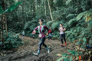 BIB: 
                            <button type="button" onclick="openModal(25649028)" class="btn btn-primary btn-sm float-right btn-popup" data-toggle="modal" data-target=".modal-high-quality">
                        <i class="fas fa-shopping-cart"></i> Add to Cart
                    </button>
                                            <button type="button" onclick="isThisMe(25649028, true)" class="btn btn-success btn-sm float-right btn-popup btn-isme hidden" data-toggle="tooltip" data-placement="bottom" title="นี่คือรูปของคุณใช่ไหม คลิกที่นี่เพื่อเอาเข้าอัลบั้ม">
                        <i class="fas fa-plus"></i> Add to album
                    </button>
                    <button type="button" onclick="isThisMe(25649028, false)" class="btn btn-warning btn-sm float-right btn-popup btn-isnotme hidden">
                        <i class="fas fa-ban"></i> Remove from album
                    </button>