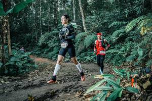 BIB: 
                            <button type="button" onclick="openModal(25650022)" class="btn btn-primary btn-sm float-right btn-popup" data-toggle="modal" data-target=".modal-high-quality">
                        <i class="fas fa-shopping-cart"></i> Add to Cart
                    </button>
                                            <button type="button" onclick="isThisMe(25650022, true)" class="btn btn-success btn-sm float-right btn-popup btn-isme hidden" data-toggle="tooltip" data-placement="bottom" title="นี่คือรูปของคุณใช่ไหม คลิกที่นี่เพื่อเอาเข้าอัลบั้ม">
                        <i class="fas fa-plus"></i> Add to album
                    </button>
                    <button type="button" onclick="isThisMe(25650022, false)" class="btn btn-warning btn-sm float-right btn-popup btn-isnotme hidden">
                        <i class="fas fa-ban"></i> Remove from album
                    </button>