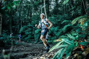 BIB: 
                            <button type="button" onclick="openModal(25597564)" class="btn btn-primary btn-sm float-right btn-popup" data-toggle="modal" data-target=".modal-high-quality">
                        <i class="fas fa-shopping-cart"></i> Add to Cart
                    </button>
                                            <button type="button" onclick="isThisMe(25597564, true)" class="btn btn-success btn-sm float-right btn-popup btn-isme hidden" data-toggle="tooltip" data-placement="bottom" title="นี่คือรูปของคุณใช่ไหม คลิกที่นี่เพื่อเอาเข้าอัลบั้ม">
                        <i class="fas fa-plus"></i> Add to album
                    </button>
                    <button type="button" onclick="isThisMe(25597564, false)" class="btn btn-warning btn-sm float-right btn-popup btn-isnotme hidden">
                        <i class="fas fa-ban"></i> Remove from album
                    </button>