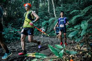 BIB: 
                            <button type="button" onclick="openModal(26033181)" class="btn btn-primary btn-sm float-right btn-popup" data-toggle="modal" data-target=".modal-high-quality">
                        <i class="fas fa-shopping-cart"></i> Add to Cart
                    </button>
                                            <button type="button" onclick="isThisMe(26033181, true)" class="btn btn-success btn-sm float-right btn-popup btn-isme hidden" data-toggle="tooltip" data-placement="bottom" title="นี่คือรูปของคุณใช่ไหม คลิกที่นี่เพื่อเอาเข้าอัลบั้ม">
                        <i class="fas fa-plus"></i> Add to album
                    </button>
                    <button type="button" onclick="isThisMe(26033181, false)" class="btn btn-warning btn-sm float-right btn-popup btn-isnotme hidden">
                        <i class="fas fa-ban"></i> Remove from album
                    </button>