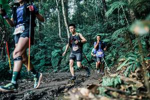 BIB: 
                            <button type="button" onclick="openModal(26055637)" class="btn btn-primary btn-sm float-right btn-popup" data-toggle="modal" data-target=".modal-high-quality">
                        <i class="fas fa-shopping-cart"></i> Add to Cart
                    </button>
                                            <button type="button" onclick="isThisMe(26055637, true)" class="btn btn-success btn-sm float-right btn-popup btn-isme hidden" data-toggle="tooltip" data-placement="bottom" title="นี่คือรูปของคุณใช่ไหม คลิกที่นี่เพื่อเอาเข้าอัลบั้ม">
                        <i class="fas fa-plus"></i> Add to album
                    </button>
                    <button type="button" onclick="isThisMe(26055637, false)" class="btn btn-warning btn-sm float-right btn-popup btn-isnotme hidden">
                        <i class="fas fa-ban"></i> Remove from album
                    </button>