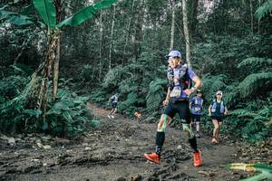 BIB: 
                            <button type="button" onclick="openModal(25712798)" class="btn btn-primary btn-sm float-right btn-popup" data-toggle="modal" data-target=".modal-high-quality">
                        <i class="fas fa-shopping-cart"></i> Add to Cart
                    </button>
                                            <button type="button" onclick="isThisMe(25712798, true)" class="btn btn-success btn-sm float-right btn-popup btn-isme hidden" data-toggle="tooltip" data-placement="bottom" title="นี่คือรูปของคุณใช่ไหม คลิกที่นี่เพื่อเอาเข้าอัลบั้ม">
                        <i class="fas fa-plus"></i> Add to album
                    </button>
                    <button type="button" onclick="isThisMe(25712798, false)" class="btn btn-warning btn-sm float-right btn-popup btn-isnotme hidden">
                        <i class="fas fa-ban"></i> Remove from album
                    </button>