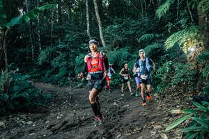 BIB: 
                            <button type="button" onclick="openModal(26055769)" class="btn btn-primary btn-sm float-right btn-popup" data-toggle="modal" data-target=".modal-high-quality">
                        <i class="fas fa-shopping-cart"></i> Add to Cart
                    </button>
                                            <button type="button" onclick="isThisMe(26055769, true)" class="btn btn-success btn-sm float-right btn-popup btn-isme hidden" data-toggle="tooltip" data-placement="bottom" title="นี่คือรูปของคุณใช่ไหม คลิกที่นี่เพื่อเอาเข้าอัลบั้ม">
                        <i class="fas fa-plus"></i> Add to album
                    </button>
                    <button type="button" onclick="isThisMe(26055769, false)" class="btn btn-warning btn-sm float-right btn-popup btn-isnotme hidden">
                        <i class="fas fa-ban"></i> Remove from album
                    </button>