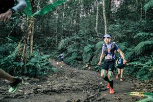 BIB: 
                            <button type="button" onclick="openModal(25712782)" class="btn btn-primary btn-sm float-right btn-popup" data-toggle="modal" data-target=".modal-high-quality">
                        <i class="fas fa-shopping-cart"></i> Add to Cart
                    </button>
                                            <button type="button" onclick="isThisMe(25712782, true)" class="btn btn-success btn-sm float-right btn-popup btn-isme hidden" data-toggle="tooltip" data-placement="bottom" title="นี่คือรูปของคุณใช่ไหม คลิกที่นี่เพื่อเอาเข้าอัลบั้ม">
                        <i class="fas fa-plus"></i> Add to album
                    </button>
                    <button type="button" onclick="isThisMe(25712782, false)" class="btn btn-warning btn-sm float-right btn-popup btn-isnotme hidden">
                        <i class="fas fa-ban"></i> Remove from album
                    </button>