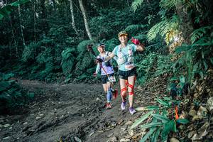 BIB: 
                            <button type="button" onclick="openModal(26015601)" class="btn btn-primary btn-sm float-right btn-popup" data-toggle="modal" data-target=".modal-high-quality">
                        <i class="fas fa-shopping-cart"></i> Add to Cart
                    </button>
                                            <button type="button" onclick="isThisMe(26015601, true)" class="btn btn-success btn-sm float-right btn-popup btn-isme hidden" data-toggle="tooltip" data-placement="bottom" title="นี่คือรูปของคุณใช่ไหม คลิกที่นี่เพื่อเอาเข้าอัลบั้ม">
                        <i class="fas fa-plus"></i> Add to album
                    </button>
                    <button type="button" onclick="isThisMe(26015601, false)" class="btn btn-warning btn-sm float-right btn-popup btn-isnotme hidden">
                        <i class="fas fa-ban"></i> Remove from album
                    </button>