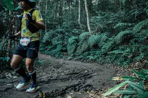 BIB: 
                            <button type="button" onclick="openModal(25700031)" class="btn btn-primary btn-sm float-right btn-popup" data-toggle="modal" data-target=".modal-high-quality">
                        <i class="fas fa-shopping-cart"></i> Add to Cart
                    </button>
                                            <button type="button" onclick="isThisMe(25700031, true)" class="btn btn-success btn-sm float-right btn-popup btn-isme hidden" data-toggle="tooltip" data-placement="bottom" title="นี่คือรูปของคุณใช่ไหม คลิกที่นี่เพื่อเอาเข้าอัลบั้ม">
                        <i class="fas fa-plus"></i> Add to album
                    </button>
                    <button type="button" onclick="isThisMe(25700031, false)" class="btn btn-warning btn-sm float-right btn-popup btn-isnotme hidden">
                        <i class="fas fa-ban"></i> Remove from album
                    </button>