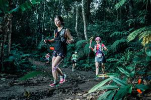 BIB: 
                            <button type="button" onclick="openModal(26018233)" class="btn btn-primary btn-sm float-right btn-popup" data-toggle="modal" data-target=".modal-high-quality">
                        <i class="fas fa-shopping-cart"></i> Add to Cart
                    </button>
                                            <button type="button" onclick="isThisMe(26018233, true)" class="btn btn-success btn-sm float-right btn-popup btn-isme hidden" data-toggle="tooltip" data-placement="bottom" title="นี่คือรูปของคุณใช่ไหม คลิกที่นี่เพื่อเอาเข้าอัลบั้ม">
                        <i class="fas fa-plus"></i> Add to album
                    </button>
                    <button type="button" onclick="isThisMe(26018233, false)" class="btn btn-warning btn-sm float-right btn-popup btn-isnotme hidden">
                        <i class="fas fa-ban"></i> Remove from album
                    </button>