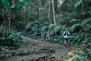 BIB: 
                            <button type="button" onclick="openModal(25615880)" class="btn btn-primary btn-sm float-right btn-popup" data-toggle="modal" data-target=".modal-high-quality">
                        <i class="fas fa-shopping-cart"></i> Add to Cart
                    </button>
                                            <button type="button" onclick="isThisMe(25615880, true)" class="btn btn-success btn-sm float-right btn-popup btn-isme hidden" data-toggle="tooltip" data-placement="bottom" title="นี่คือรูปของคุณใช่ไหม คลิกที่นี่เพื่อเอาเข้าอัลบั้ม">
                        <i class="fas fa-plus"></i> Add to album
                    </button>
                    <button type="button" onclick="isThisMe(25615880, false)" class="btn btn-warning btn-sm float-right btn-popup btn-isnotme hidden">
                        <i class="fas fa-ban"></i> Remove from album
                    </button>