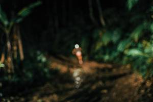 BIB: 
                            <button type="button" onclick="openModal(25695499)" class="btn btn-primary btn-sm float-right btn-popup" data-toggle="modal" data-target=".modal-high-quality">
                        <i class="fas fa-shopping-cart"></i> Add to Cart
                    </button>
                                            <button type="button" onclick="isThisMe(25695499, true)" class="btn btn-success btn-sm float-right btn-popup btn-isme hidden" data-toggle="tooltip" data-placement="bottom" title="นี่คือรูปของคุณใช่ไหม คลิกที่นี่เพื่อเอาเข้าอัลบั้ม">
                        <i class="fas fa-plus"></i> Add to album
                    </button>
                    <button type="button" onclick="isThisMe(25695499, false)" class="btn btn-warning btn-sm float-right btn-popup btn-isnotme hidden">
                        <i class="fas fa-ban"></i> Remove from album
                    </button>