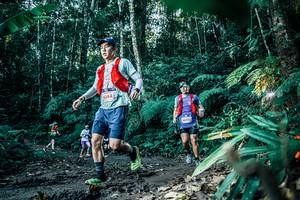 BIB: 
                            <button type="button" onclick="openModal(25596468)" class="btn btn-primary btn-sm float-right btn-popup" data-toggle="modal" data-target=".modal-high-quality">
                        <i class="fas fa-shopping-cart"></i> Add to Cart
                    </button>
                                            <button type="button" onclick="isThisMe(25596468, true)" class="btn btn-success btn-sm float-right btn-popup btn-isme hidden" data-toggle="tooltip" data-placement="bottom" title="นี่คือรูปของคุณใช่ไหม คลิกที่นี่เพื่อเอาเข้าอัลบั้ม">
                        <i class="fas fa-plus"></i> Add to album
                    </button>
                    <button type="button" onclick="isThisMe(25596468, false)" class="btn btn-warning btn-sm float-right btn-popup btn-isnotme hidden">
                        <i class="fas fa-ban"></i> Remove from album
                    </button>