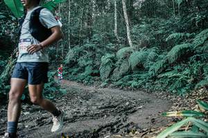 BIB: 
                            <button type="button" onclick="openModal(25697185)" class="btn btn-primary btn-sm float-right btn-popup" data-toggle="modal" data-target=".modal-high-quality">
                        <i class="fas fa-shopping-cart"></i> Add to Cart
                    </button>
                                            <button type="button" onclick="isThisMe(25697185, true)" class="btn btn-success btn-sm float-right btn-popup btn-isme hidden" data-toggle="tooltip" data-placement="bottom" title="นี่คือรูปของคุณใช่ไหม คลิกที่นี่เพื่อเอาเข้าอัลบั้ม">
                        <i class="fas fa-plus"></i> Add to album
                    </button>
                    <button type="button" onclick="isThisMe(25697185, false)" class="btn btn-warning btn-sm float-right btn-popup btn-isnotme hidden">
                        <i class="fas fa-ban"></i> Remove from album
                    </button>