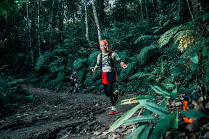 BIB: 
                            <button type="button" onclick="openModal(26018336)" class="btn btn-primary btn-sm float-right btn-popup" data-toggle="modal" data-target=".modal-high-quality">
                        <i class="fas fa-shopping-cart"></i> Add to Cart
                    </button>
                                            <button type="button" onclick="isThisMe(26018336, true)" class="btn btn-success btn-sm float-right btn-popup btn-isme hidden" data-toggle="tooltip" data-placement="bottom" title="นี่คือรูปของคุณใช่ไหม คลิกที่นี่เพื่อเอาเข้าอัลบั้ม">
                        <i class="fas fa-plus"></i> Add to album
                    </button>
                    <button type="button" onclick="isThisMe(26018336, false)" class="btn btn-warning btn-sm float-right btn-popup btn-isnotme hidden">
                        <i class="fas fa-ban"></i> Remove from album
                    </button>