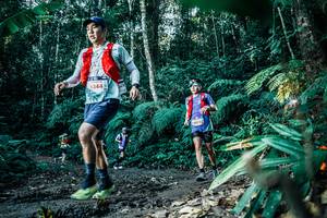 BIB: 
                            <button type="button" onclick="openModal(25596507)" class="btn btn-primary btn-sm float-right btn-popup" data-toggle="modal" data-target=".modal-high-quality">
                        <i class="fas fa-shopping-cart"></i> Add to Cart
                    </button>
                                            <button type="button" onclick="isThisMe(25596507, true)" class="btn btn-success btn-sm float-right btn-popup btn-isme hidden" data-toggle="tooltip" data-placement="bottom" title="นี่คือรูปของคุณใช่ไหม คลิกที่นี่เพื่อเอาเข้าอัลบั้ม">
                        <i class="fas fa-plus"></i> Add to album
                    </button>
                    <button type="button" onclick="isThisMe(25596507, false)" class="btn btn-warning btn-sm float-right btn-popup btn-isnotme hidden">
                        <i class="fas fa-ban"></i> Remove from album
                    </button>