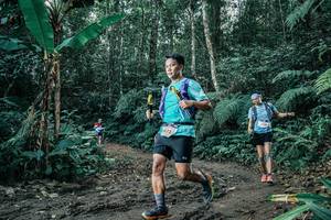 BIB: 
                            <button type="button" onclick="openModal(25641145)" class="btn btn-primary btn-sm float-right btn-popup" data-toggle="modal" data-target=".modal-high-quality">
                        <i class="fas fa-shopping-cart"></i> Add to Cart
                    </button>
                                            <button type="button" onclick="isThisMe(25641145, true)" class="btn btn-success btn-sm float-right btn-popup btn-isme hidden" data-toggle="tooltip" data-placement="bottom" title="นี่คือรูปของคุณใช่ไหม คลิกที่นี่เพื่อเอาเข้าอัลบั้ม">
                        <i class="fas fa-plus"></i> Add to album
                    </button>
                    <button type="button" onclick="isThisMe(25641145, false)" class="btn btn-warning btn-sm float-right btn-popup btn-isnotme hidden">
                        <i class="fas fa-ban"></i> Remove from album
                    </button>