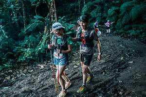 BIB: 
                            <button type="button" onclick="openModal(25594180)" class="btn btn-primary btn-sm float-right btn-popup" data-toggle="modal" data-target=".modal-high-quality">
                        <i class="fas fa-shopping-cart"></i> Add to Cart
                    </button>
                                            <button type="button" onclick="isThisMe(25594180, true)" class="btn btn-success btn-sm float-right btn-popup btn-isme hidden" data-toggle="tooltip" data-placement="bottom" title="นี่คือรูปของคุณใช่ไหม คลิกที่นี่เพื่อเอาเข้าอัลบั้ม">
                        <i class="fas fa-plus"></i> Add to album
                    </button>
                    <button type="button" onclick="isThisMe(25594180, false)" class="btn btn-warning btn-sm float-right btn-popup btn-isnotme hidden">
                        <i class="fas fa-ban"></i> Remove from album
                    </button>