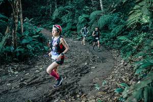 BIB: 
                            <button type="button" onclick="openModal(26016800)" class="btn btn-primary btn-sm float-right btn-popup" data-toggle="modal" data-target=".modal-high-quality">
                        <i class="fas fa-shopping-cart"></i> Add to Cart
                    </button>
                                            <button type="button" onclick="isThisMe(26016800, true)" class="btn btn-success btn-sm float-right btn-popup btn-isme hidden" data-toggle="tooltip" data-placement="bottom" title="นี่คือรูปของคุณใช่ไหม คลิกที่นี่เพื่อเอาเข้าอัลบั้ม">
                        <i class="fas fa-plus"></i> Add to album
                    </button>
                    <button type="button" onclick="isThisMe(26016800, false)" class="btn btn-warning btn-sm float-right btn-popup btn-isnotme hidden">
                        <i class="fas fa-ban"></i> Remove from album
                    </button>