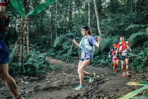 BIB: 
                            <button type="button" onclick="openModal(25632955)" class="btn btn-primary btn-sm float-right btn-popup" data-toggle="modal" data-target=".modal-high-quality">
                        <i class="fas fa-shopping-cart"></i> Add to Cart
                    </button>
                                            <button type="button" onclick="isThisMe(25632955, true)" class="btn btn-success btn-sm float-right btn-popup btn-isme hidden" data-toggle="tooltip" data-placement="bottom" title="นี่คือรูปของคุณใช่ไหม คลิกที่นี่เพื่อเอาเข้าอัลบั้ม">
                        <i class="fas fa-plus"></i> Add to album
                    </button>
                    <button type="button" onclick="isThisMe(25632955, false)" class="btn btn-warning btn-sm float-right btn-popup btn-isnotme hidden">
                        <i class="fas fa-ban"></i> Remove from album
                    </button>