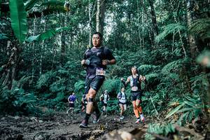 BIB: 
                            <button type="button" onclick="openModal(26033791)" class="btn btn-primary btn-sm float-right btn-popup" data-toggle="modal" data-target=".modal-high-quality">
                        <i class="fas fa-shopping-cart"></i> Add to Cart
                    </button>
                                            <button type="button" onclick="isThisMe(26033791, true)" class="btn btn-success btn-sm float-right btn-popup btn-isme hidden" data-toggle="tooltip" data-placement="bottom" title="นี่คือรูปของคุณใช่ไหม คลิกที่นี่เพื่อเอาเข้าอัลบั้ม">
                        <i class="fas fa-plus"></i> Add to album
                    </button>
                    <button type="button" onclick="isThisMe(26033791, false)" class="btn btn-warning btn-sm float-right btn-popup btn-isnotme hidden">
                        <i class="fas fa-ban"></i> Remove from album
                    </button>