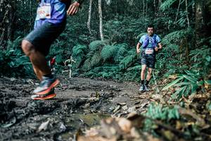 BIB: 
                            <button type="button" onclick="openModal(26055681)" class="btn btn-primary btn-sm float-right btn-popup" data-toggle="modal" data-target=".modal-high-quality">
                        <i class="fas fa-shopping-cart"></i> Add to Cart
                    </button>
                                            <button type="button" onclick="isThisMe(26055681, true)" class="btn btn-success btn-sm float-right btn-popup btn-isme hidden" data-toggle="tooltip" data-placement="bottom" title="นี่คือรูปของคุณใช่ไหม คลิกที่นี่เพื่อเอาเข้าอัลบั้ม">
                        <i class="fas fa-plus"></i> Add to album
                    </button>
                    <button type="button" onclick="isThisMe(26055681, false)" class="btn btn-warning btn-sm float-right btn-popup btn-isnotme hidden">
                        <i class="fas fa-ban"></i> Remove from album
                    </button>