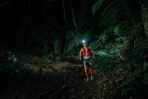 BIB: 
                            <button type="button" onclick="openModal(26031762)" class="btn btn-primary btn-sm float-right btn-popup" data-toggle="modal" data-target=".modal-high-quality">
                        <i class="fas fa-shopping-cart"></i> Add to Cart
                    </button>
                                            <button type="button" onclick="isThisMe(26031762, true)" class="btn btn-success btn-sm float-right btn-popup btn-isme hidden" data-toggle="tooltip" data-placement="bottom" title="นี่คือรูปของคุณใช่ไหม คลิกที่นี่เพื่อเอาเข้าอัลบั้ม">
                        <i class="fas fa-plus"></i> Add to album
                    </button>
                    <button type="button" onclick="isThisMe(26031762, false)" class="btn btn-warning btn-sm float-right btn-popup btn-isnotme hidden">
                        <i class="fas fa-ban"></i> Remove from album
                    </button>