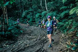 BIB: 
                            <button type="button" onclick="openModal(25608276)" class="btn btn-primary btn-sm float-right btn-popup" data-toggle="modal" data-target=".modal-high-quality">
                        <i class="fas fa-shopping-cart"></i> Add to Cart
                    </button>
                                            <button type="button" onclick="isThisMe(25608276, true)" class="btn btn-success btn-sm float-right btn-popup btn-isme hidden" data-toggle="tooltip" data-placement="bottom" title="นี่คือรูปของคุณใช่ไหม คลิกที่นี่เพื่อเอาเข้าอัลบั้ม">
                        <i class="fas fa-plus"></i> Add to album
                    </button>
                    <button type="button" onclick="isThisMe(25608276, false)" class="btn btn-warning btn-sm float-right btn-popup btn-isnotme hidden">
                        <i class="fas fa-ban"></i> Remove from album
                    </button>