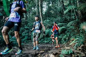 BIB: 
                            <button type="button" onclick="openModal(26033633)" class="btn btn-primary btn-sm float-right btn-popup" data-toggle="modal" data-target=".modal-high-quality">
                        <i class="fas fa-shopping-cart"></i> Add to Cart
                    </button>
                                            <button type="button" onclick="isThisMe(26033633, true)" class="btn btn-success btn-sm float-right btn-popup btn-isme hidden" data-toggle="tooltip" data-placement="bottom" title="นี่คือรูปของคุณใช่ไหม คลิกที่นี่เพื่อเอาเข้าอัลบั้ม">
                        <i class="fas fa-plus"></i> Add to album
                    </button>
                    <button type="button" onclick="isThisMe(26033633, false)" class="btn btn-warning btn-sm float-right btn-popup btn-isnotme hidden">
                        <i class="fas fa-ban"></i> Remove from album
                    </button>