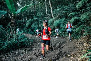 BIB: 
                            <button type="button" onclick="openModal(26055875)" class="btn btn-primary btn-sm float-right btn-popup" data-toggle="modal" data-target=".modal-high-quality">
                        <i class="fas fa-shopping-cart"></i> Add to Cart
                    </button>
                                            <button type="button" onclick="isThisMe(26055875, true)" class="btn btn-success btn-sm float-right btn-popup btn-isme hidden" data-toggle="tooltip" data-placement="bottom" title="นี่คือรูปของคุณใช่ไหม คลิกที่นี่เพื่อเอาเข้าอัลบั้ม">
                        <i class="fas fa-plus"></i> Add to album
                    </button>
                    <button type="button" onclick="isThisMe(26055875, false)" class="btn btn-warning btn-sm float-right btn-popup btn-isnotme hidden">
                        <i class="fas fa-ban"></i> Remove from album
                    </button>