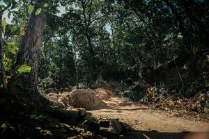 BIB: 
                            <button type="button" onclick="openModal(26121775)" class="btn btn-primary btn-sm float-right btn-popup" data-toggle="modal" data-target=".modal-high-quality">
                        <i class="fas fa-shopping-cart"></i> Add to Cart
                    </button>
                                            <button type="button" onclick="isThisMe(26121775, true)" class="btn btn-success btn-sm float-right btn-popup btn-isme hidden" data-toggle="tooltip" data-placement="bottom" title="นี่คือรูปของคุณใช่ไหม คลิกที่นี่เพื่อเอาเข้าอัลบั้ม">
                        <i class="fas fa-plus"></i> Add to album
                    </button>
                    <button type="button" onclick="isThisMe(26121775, false)" class="btn btn-warning btn-sm float-right btn-popup btn-isnotme hidden">
                        <i class="fas fa-ban"></i> Remove from album
                    </button>