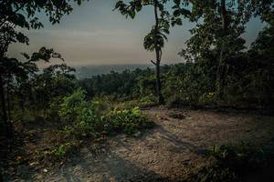 BIB: 
                            <button type="button" onclick="openModal(26100256)" class="btn btn-primary btn-sm float-right btn-popup" data-toggle="modal" data-target=".modal-high-quality">
                        <i class="fas fa-shopping-cart"></i> Add to Cart
                    </button>
                                            <button type="button" onclick="isThisMe(26100256, true)" class="btn btn-success btn-sm float-right btn-popup btn-isme hidden" data-toggle="tooltip" data-placement="bottom" title="นี่คือรูปของคุณใช่ไหม คลิกที่นี่เพื่อเอาเข้าอัลบั้ม">
                        <i class="fas fa-plus"></i> Add to album
                    </button>
                    <button type="button" onclick="isThisMe(26100256, false)" class="btn btn-warning btn-sm float-right btn-popup btn-isnotme hidden">
                        <i class="fas fa-ban"></i> Remove from album
                    </button>