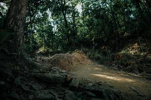 BIB: 
                            <button type="button" onclick="openModal(26125639)" class="btn btn-primary btn-sm float-right btn-popup" data-toggle="modal" data-target=".modal-high-quality">
                        <i class="fas fa-shopping-cart"></i> Add to Cart
                    </button>
                                            <button type="button" onclick="isThisMe(26125639, true)" class="btn btn-success btn-sm float-right btn-popup btn-isme hidden" data-toggle="tooltip" data-placement="bottom" title="นี่คือรูปของคุณใช่ไหม คลิกที่นี่เพื่อเอาเข้าอัลบั้ม">
                        <i class="fas fa-plus"></i> Add to album
                    </button>
                    <button type="button" onclick="isThisMe(26125639, false)" class="btn btn-warning btn-sm float-right btn-popup btn-isnotme hidden">
                        <i class="fas fa-ban"></i> Remove from album
                    </button>