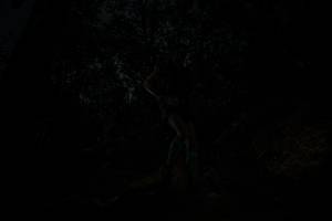 BIB: 
                            <button type="button" onclick="openModal(26103035)" class="btn btn-primary btn-sm float-right btn-popup" data-toggle="modal" data-target=".modal-high-quality">
                        <i class="fas fa-shopping-cart"></i> Add to Cart
                    </button>
                                            <button type="button" onclick="isThisMe(26103035, true)" class="btn btn-success btn-sm float-right btn-popup btn-isme hidden" data-toggle="tooltip" data-placement="bottom" title="นี่คือรูปของคุณใช่ไหม คลิกที่นี่เพื่อเอาเข้าอัลบั้ม">
                        <i class="fas fa-plus"></i> Add to album
                    </button>
                    <button type="button" onclick="isThisMe(26103035, false)" class="btn btn-warning btn-sm float-right btn-popup btn-isnotme hidden">
                        <i class="fas fa-ban"></i> Remove from album
                    </button>