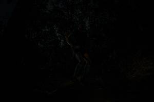 BIB: 
                            <button type="button" onclick="openModal(26103018)" class="btn btn-primary btn-sm float-right btn-popup" data-toggle="modal" data-target=".modal-high-quality">
                        <i class="fas fa-shopping-cart"></i> Add to Cart
                    </button>
                                            <button type="button" onclick="isThisMe(26103018, true)" class="btn btn-success btn-sm float-right btn-popup btn-isme hidden" data-toggle="tooltip" data-placement="bottom" title="นี่คือรูปของคุณใช่ไหม คลิกที่นี่เพื่อเอาเข้าอัลบั้ม">
                        <i class="fas fa-plus"></i> Add to album
                    </button>
                    <button type="button" onclick="isThisMe(26103018, false)" class="btn btn-warning btn-sm float-right btn-popup btn-isnotme hidden">
                        <i class="fas fa-ban"></i> Remove from album
                    </button>