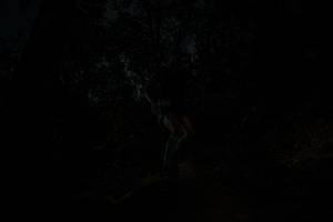 BIB: 
                            <button type="button" onclick="openModal(26103033)" class="btn btn-primary btn-sm float-right btn-popup" data-toggle="modal" data-target=".modal-high-quality">
                        <i class="fas fa-shopping-cart"></i> Add to Cart
                    </button>
                                            <button type="button" onclick="isThisMe(26103033, true)" class="btn btn-success btn-sm float-right btn-popup btn-isme hidden" data-toggle="tooltip" data-placement="bottom" title="นี่คือรูปของคุณใช่ไหม คลิกที่นี่เพื่อเอาเข้าอัลบั้ม">
                        <i class="fas fa-plus"></i> Add to album
                    </button>
                    <button type="button" onclick="isThisMe(26103033, false)" class="btn btn-warning btn-sm float-right btn-popup btn-isnotme hidden">
                        <i class="fas fa-ban"></i> Remove from album
                    </button>