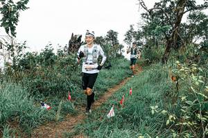 BIB: 
                            <button type="button" onclick="openModal(25593296)" class="btn btn-primary btn-sm float-right btn-popup" data-toggle="modal" data-target=".modal-high-quality">
                        <i class="fas fa-shopping-cart"></i> Add to Cart
                    </button>
                                            <button type="button" onclick="isThisMe(25593296, true)" class="btn btn-success btn-sm float-right btn-popup btn-isme hidden" data-toggle="tooltip" data-placement="bottom" title="นี่คือรูปของคุณใช่ไหม คลิกที่นี่เพื่อเอาเข้าอัลบั้ม">
                        <i class="fas fa-plus"></i> Add to album
                    </button>
                    <button type="button" onclick="isThisMe(25593296, false)" class="btn btn-warning btn-sm float-right btn-popup btn-isnotme hidden">
                        <i class="fas fa-ban"></i> Remove from album
                    </button>