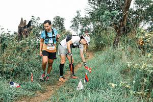 BIB: 
                            <button type="button" onclick="openModal(25583452)" class="btn btn-primary btn-sm float-right btn-popup" data-toggle="modal" data-target=".modal-high-quality">
                        <i class="fas fa-shopping-cart"></i> Add to Cart
                    </button>
                                            <button type="button" onclick="isThisMe(25583452, true)" class="btn btn-success btn-sm float-right btn-popup btn-isme hidden" data-toggle="tooltip" data-placement="bottom" title="นี่คือรูปของคุณใช่ไหม คลิกที่นี่เพื่อเอาเข้าอัลบั้ม">
                        <i class="fas fa-plus"></i> Add to album
                    </button>
                    <button type="button" onclick="isThisMe(25583452, false)" class="btn btn-warning btn-sm float-right btn-popup btn-isnotme hidden">
                        <i class="fas fa-ban"></i> Remove from album
                    </button>