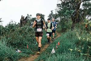 BIB: 
                            <button type="button" onclick="openModal(25571834)" class="btn btn-primary btn-sm float-right btn-popup" data-toggle="modal" data-target=".modal-high-quality">
                        <i class="fas fa-shopping-cart"></i> Add to Cart
                    </button>
                                            <button type="button" onclick="isThisMe(25571834, true)" class="btn btn-success btn-sm float-right btn-popup btn-isme hidden" data-toggle="tooltip" data-placement="bottom" title="นี่คือรูปของคุณใช่ไหม คลิกที่นี่เพื่อเอาเข้าอัลบั้ม">
                        <i class="fas fa-plus"></i> Add to album
                    </button>
                    <button type="button" onclick="isThisMe(25571834, false)" class="btn btn-warning btn-sm float-right btn-popup btn-isnotme hidden">
                        <i class="fas fa-ban"></i> Remove from album
                    </button>