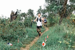 BIB: 
                            <button type="button" onclick="openModal(25558900)" class="btn btn-primary btn-sm float-right btn-popup" data-toggle="modal" data-target=".modal-high-quality">
                        <i class="fas fa-shopping-cart"></i> Add to Cart
                    </button>
                                            <button type="button" onclick="isThisMe(25558900, true)" class="btn btn-success btn-sm float-right btn-popup btn-isme hidden" data-toggle="tooltip" data-placement="bottom" title="นี่คือรูปของคุณใช่ไหม คลิกที่นี่เพื่อเอาเข้าอัลบั้ม">
                        <i class="fas fa-plus"></i> Add to album
                    </button>
                    <button type="button" onclick="isThisMe(25558900, false)" class="btn btn-warning btn-sm float-right btn-popup btn-isnotme hidden">
                        <i class="fas fa-ban"></i> Remove from album
                    </button>