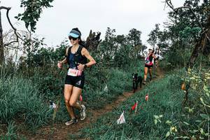 BIB: 
                            <button type="button" onclick="openModal(25595524)" class="btn btn-primary btn-sm float-right btn-popup" data-toggle="modal" data-target=".modal-high-quality">
                        <i class="fas fa-shopping-cart"></i> Add to Cart
                    </button>
                                            <button type="button" onclick="isThisMe(25595524, true)" class="btn btn-success btn-sm float-right btn-popup btn-isme hidden" data-toggle="tooltip" data-placement="bottom" title="นี่คือรูปของคุณใช่ไหม คลิกที่นี่เพื่อเอาเข้าอัลบั้ม">
                        <i class="fas fa-plus"></i> Add to album
                    </button>
                    <button type="button" onclick="isThisMe(25595524, false)" class="btn btn-warning btn-sm float-right btn-popup btn-isnotme hidden">
                        <i class="fas fa-ban"></i> Remove from album
                    </button>