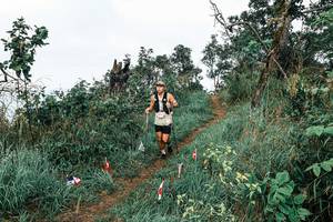 BIB: 
                            <button type="button" onclick="openModal(25601656)" class="btn btn-primary btn-sm float-right btn-popup" data-toggle="modal" data-target=".modal-high-quality">
                        <i class="fas fa-shopping-cart"></i> Add to Cart
                    </button>
                                            <button type="button" onclick="isThisMe(25601656, true)" class="btn btn-success btn-sm float-right btn-popup btn-isme hidden" data-toggle="tooltip" data-placement="bottom" title="นี่คือรูปของคุณใช่ไหม คลิกที่นี่เพื่อเอาเข้าอัลบั้ม">
                        <i class="fas fa-plus"></i> Add to album
                    </button>
                    <button type="button" onclick="isThisMe(25601656, false)" class="btn btn-warning btn-sm float-right btn-popup btn-isnotme hidden">
                        <i class="fas fa-ban"></i> Remove from album
                    </button>