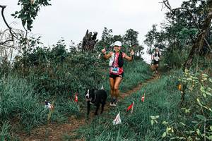 BIB: 
                            <button type="button" onclick="openModal(25595527)" class="btn btn-primary btn-sm float-right btn-popup" data-toggle="modal" data-target=".modal-high-quality">
                        <i class="fas fa-shopping-cart"></i> Add to Cart
                    </button>
                                            <button type="button" onclick="isThisMe(25595527, true)" class="btn btn-success btn-sm float-right btn-popup btn-isme hidden" data-toggle="tooltip" data-placement="bottom" title="นี่คือรูปของคุณใช่ไหม คลิกที่นี่เพื่อเอาเข้าอัลบั้ม">
                        <i class="fas fa-plus"></i> Add to album
                    </button>
                    <button type="button" onclick="isThisMe(25595527, false)" class="btn btn-warning btn-sm float-right btn-popup btn-isnotme hidden">
                        <i class="fas fa-ban"></i> Remove from album
                    </button>