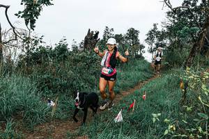 BIB: 
                            <button type="button" onclick="openModal(25595514)" class="btn btn-primary btn-sm float-right btn-popup" data-toggle="modal" data-target=".modal-high-quality">
                        <i class="fas fa-shopping-cart"></i> Add to Cart
                    </button>
                                            <button type="button" onclick="isThisMe(25595514, true)" class="btn btn-success btn-sm float-right btn-popup btn-isme hidden" data-toggle="tooltip" data-placement="bottom" title="นี่คือรูปของคุณใช่ไหม คลิกที่นี่เพื่อเอาเข้าอัลบั้ม">
                        <i class="fas fa-plus"></i> Add to album
                    </button>
                    <button type="button" onclick="isThisMe(25595514, false)" class="btn btn-warning btn-sm float-right btn-popup btn-isnotme hidden">
                        <i class="fas fa-ban"></i> Remove from album
                    </button>