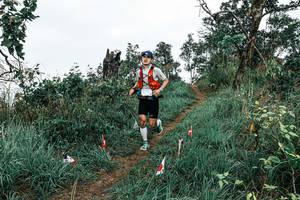 BIB: 
                            <button type="button" onclick="openModal(25599720)" class="btn btn-primary btn-sm float-right btn-popup" data-toggle="modal" data-target=".modal-high-quality">
                        <i class="fas fa-shopping-cart"></i> Add to Cart
                    </button>
                                            <button type="button" onclick="isThisMe(25599720, true)" class="btn btn-success btn-sm float-right btn-popup btn-isme hidden" data-toggle="tooltip" data-placement="bottom" title="นี่คือรูปของคุณใช่ไหม คลิกที่นี่เพื่อเอาเข้าอัลบั้ม">
                        <i class="fas fa-plus"></i> Add to album
                    </button>
                    <button type="button" onclick="isThisMe(25599720, false)" class="btn btn-warning btn-sm float-right btn-popup btn-isnotme hidden">
                        <i class="fas fa-ban"></i> Remove from album
                    </button>