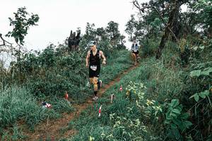 BIB: 
                            <button type="button" onclick="openModal(25602772)" class="btn btn-primary btn-sm float-right btn-popup" data-toggle="modal" data-target=".modal-high-quality">
                        <i class="fas fa-shopping-cart"></i> Add to Cart
                    </button>
                                            <button type="button" onclick="isThisMe(25602772, true)" class="btn btn-success btn-sm float-right btn-popup btn-isme hidden" data-toggle="tooltip" data-placement="bottom" title="นี่คือรูปของคุณใช่ไหม คลิกที่นี่เพื่อเอาเข้าอัลบั้ม">
                        <i class="fas fa-plus"></i> Add to album
                    </button>
                    <button type="button" onclick="isThisMe(25602772, false)" class="btn btn-warning btn-sm float-right btn-popup btn-isnotme hidden">
                        <i class="fas fa-ban"></i> Remove from album
                    </button>