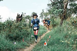 BIB: 
                            <button type="button" onclick="openModal(25529286)" class="btn btn-primary btn-sm float-right btn-popup" data-toggle="modal" data-target=".modal-high-quality">
                        <i class="fas fa-shopping-cart"></i> Add to Cart
                    </button>
                                            <button type="button" onclick="isThisMe(25529286, true)" class="btn btn-success btn-sm float-right btn-popup btn-isme hidden" data-toggle="tooltip" data-placement="bottom" title="นี่คือรูปของคุณใช่ไหม คลิกที่นี่เพื่อเอาเข้าอัลบั้ม">
                        <i class="fas fa-plus"></i> Add to album
                    </button>
                    <button type="button" onclick="isThisMe(25529286, false)" class="btn btn-warning btn-sm float-right btn-popup btn-isnotme hidden">
                        <i class="fas fa-ban"></i> Remove from album
                    </button>