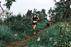 BIB: 
                            <button type="button" onclick="openModal(25595548)" class="btn btn-primary btn-sm float-right btn-popup" data-toggle="modal" data-target=".modal-high-quality">
                        <i class="fas fa-shopping-cart"></i> Add to Cart
                    </button>
                                            <button type="button" onclick="isThisMe(25595548, true)" class="btn btn-success btn-sm float-right btn-popup btn-isme hidden" data-toggle="tooltip" data-placement="bottom" title="นี่คือรูปของคุณใช่ไหม คลิกที่นี่เพื่อเอาเข้าอัลบั้ม">
                        <i class="fas fa-plus"></i> Add to album
                    </button>
                    <button type="button" onclick="isThisMe(25595548, false)" class="btn btn-warning btn-sm float-right btn-popup btn-isnotme hidden">
                        <i class="fas fa-ban"></i> Remove from album
                    </button>