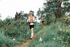 BIB: 
                            <button type="button" onclick="openModal(25572616)" class="btn btn-primary btn-sm float-right btn-popup" data-toggle="modal" data-target=".modal-high-quality">
                        <i class="fas fa-shopping-cart"></i> Add to Cart
                    </button>
                                            <button type="button" onclick="isThisMe(25572616, true)" class="btn btn-success btn-sm float-right btn-popup btn-isme hidden" data-toggle="tooltip" data-placement="bottom" title="นี่คือรูปของคุณใช่ไหม คลิกที่นี่เพื่อเอาเข้าอัลบั้ม">
                        <i class="fas fa-plus"></i> Add to album
                    </button>
                    <button type="button" onclick="isThisMe(25572616, false)" class="btn btn-warning btn-sm float-right btn-popup btn-isnotme hidden">
                        <i class="fas fa-ban"></i> Remove from album
                    </button>